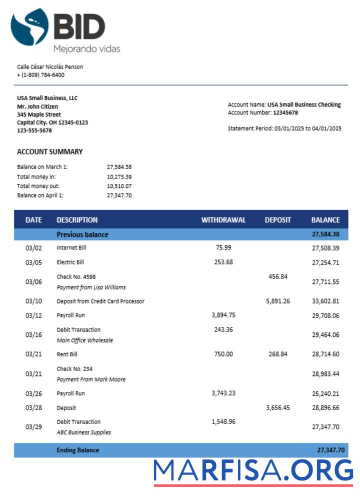 Realistic BID business account statement Word and PDF template
